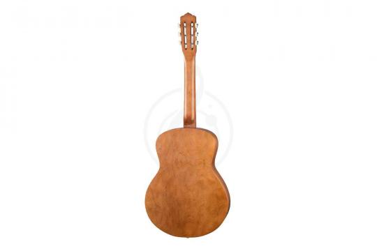 Акустическая гитара  - фото 2