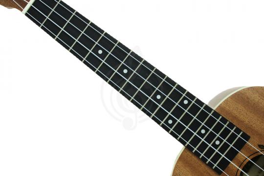 Укулеле концерт  - фото 3