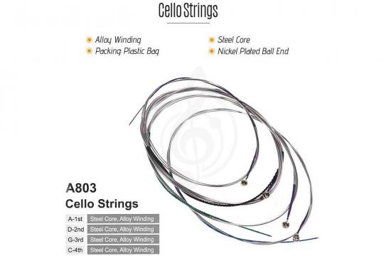 - фото 2   - фото 2