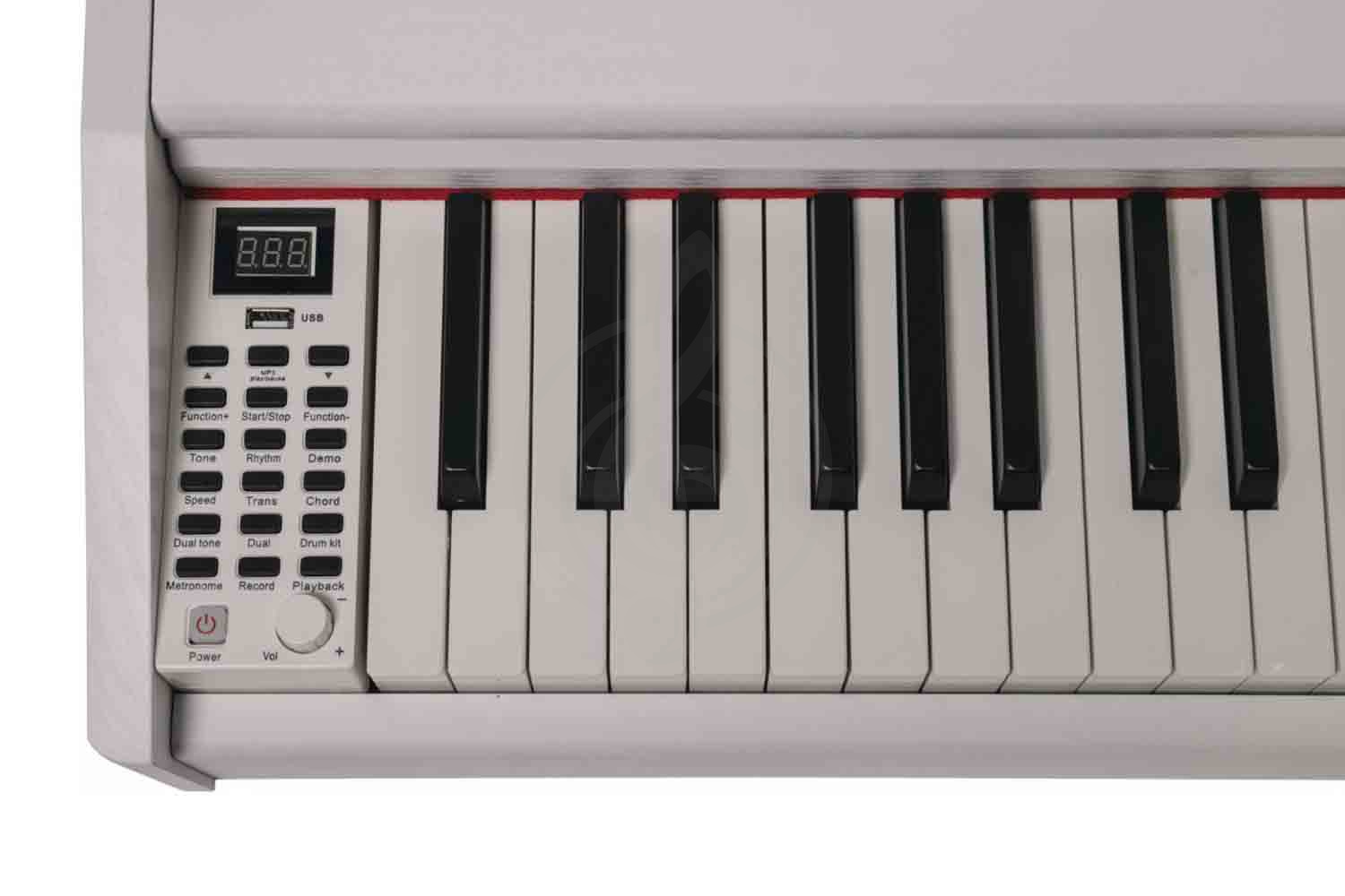 Цифровое пианино  - фото 2