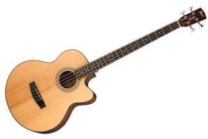 Изображение Cort SJB5F-NS-WBAG Acoustic Bass Series - Электро-акустическая бас-гитара