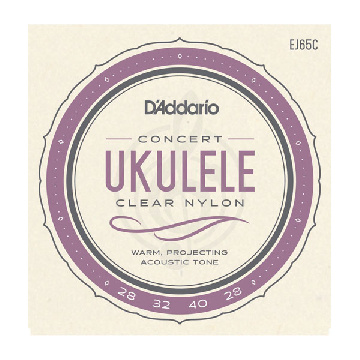 Изображение D'Addario EJ65C