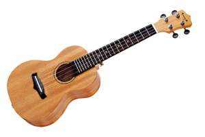Изображение Enya EUC-25D - Укулеле концерт