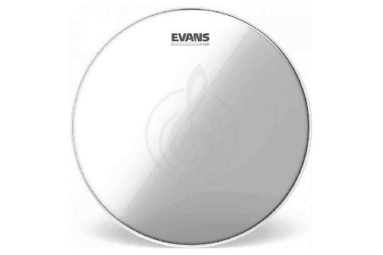 Изображение Evans BD20G2