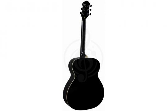 Акустическая гитара  - фото 12