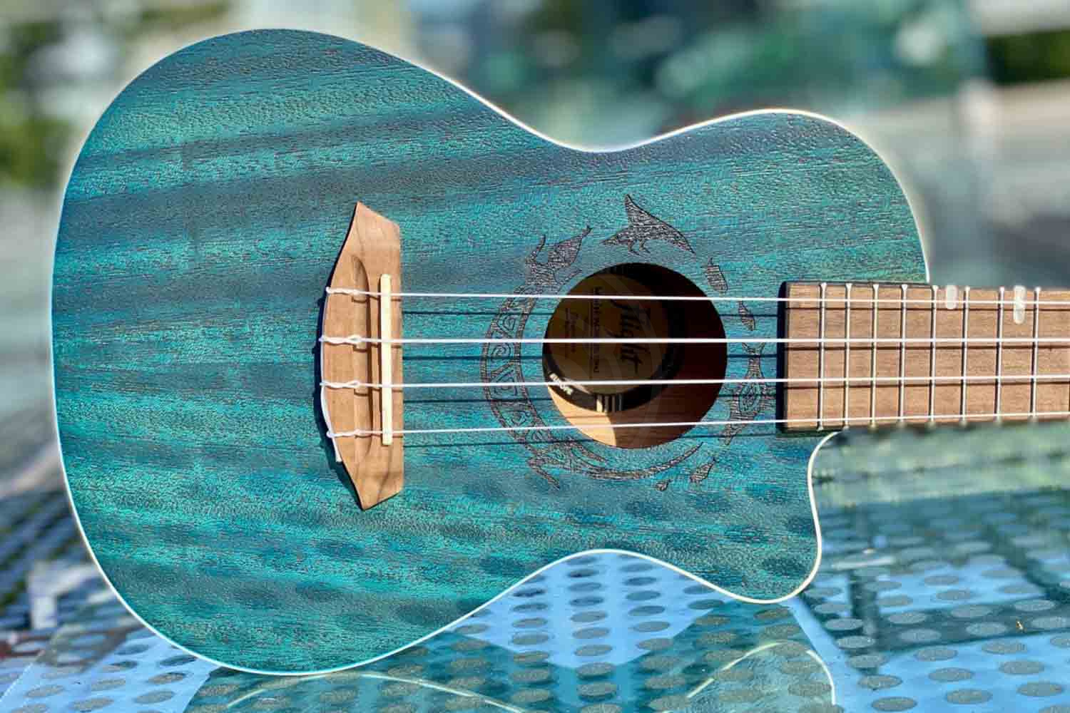 Укулеле концерт  - фото 19