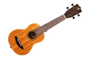 Изображение FLIGHT NUS500 - Укулеле сопрано