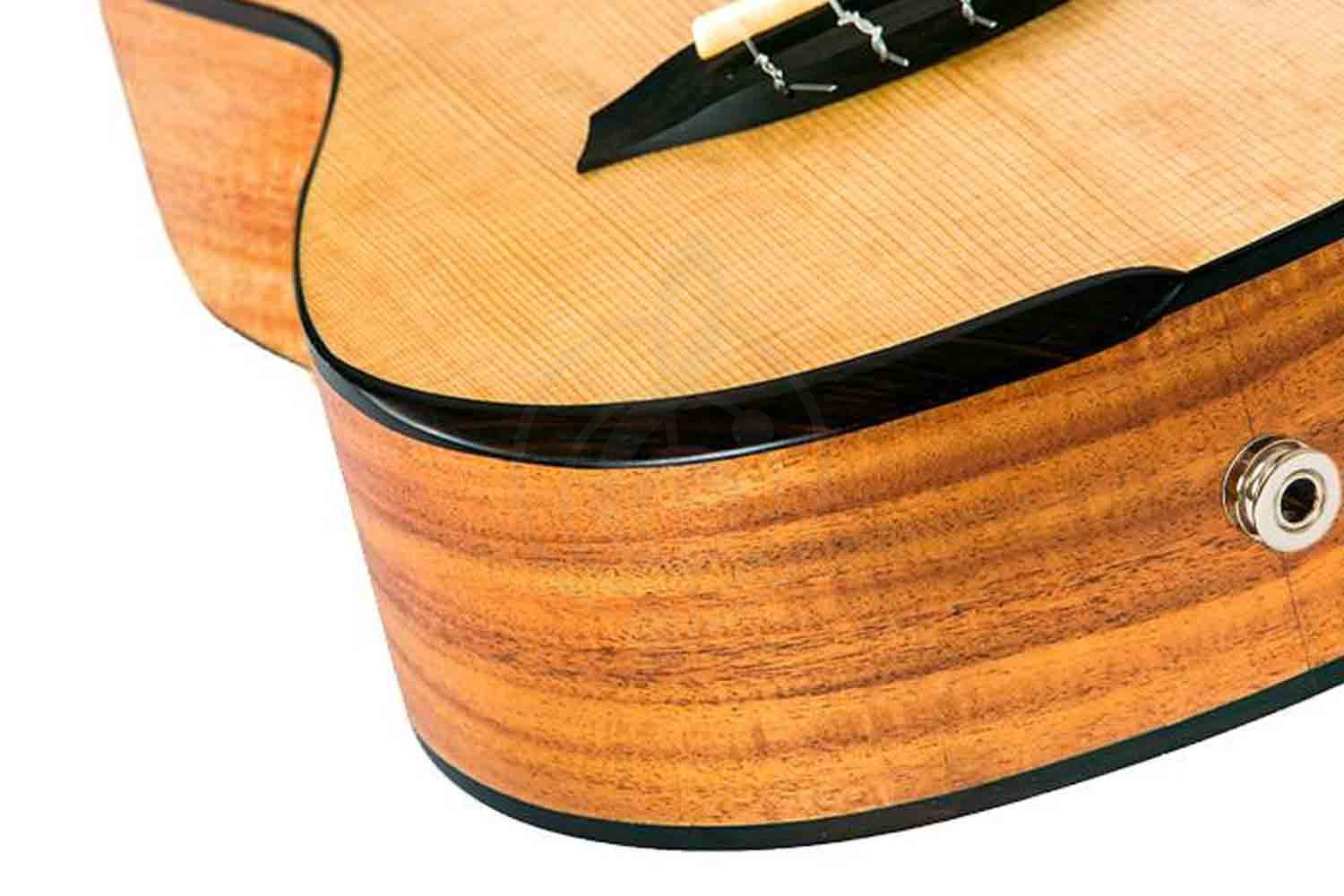 Укулеле концерт  - фото 2