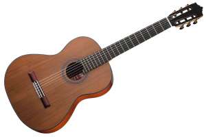 Изображение Martinez MC-48C Standard Series - Классическая гитара