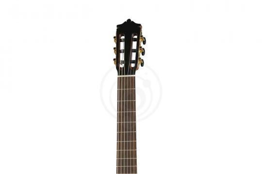   - фото 7