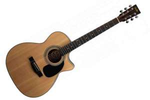 Изображение MOLLO GAC-100 NA - Акустическая гитара