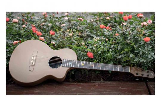 Акустическая гитара  - фото 2