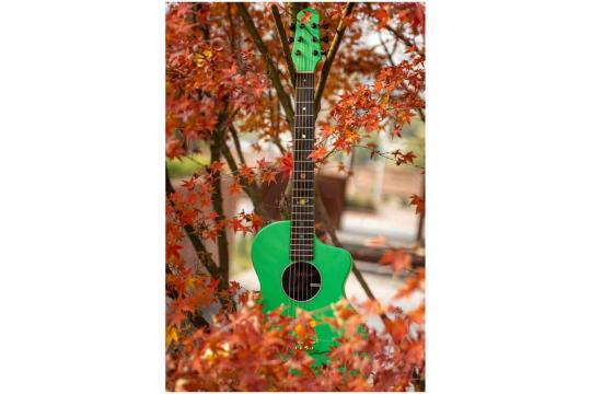 Акустическая гитара  - фото 2