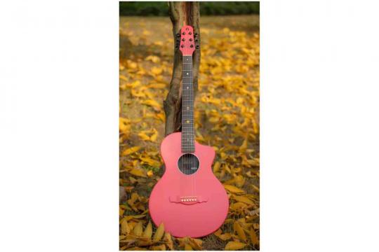 Акустическая гитара  - фото 7