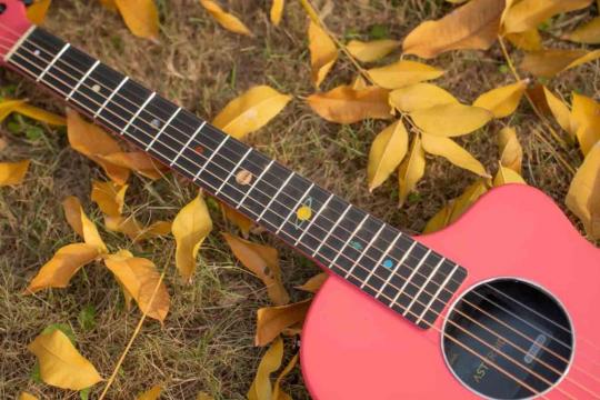 Акустическая гитара  - фото 16