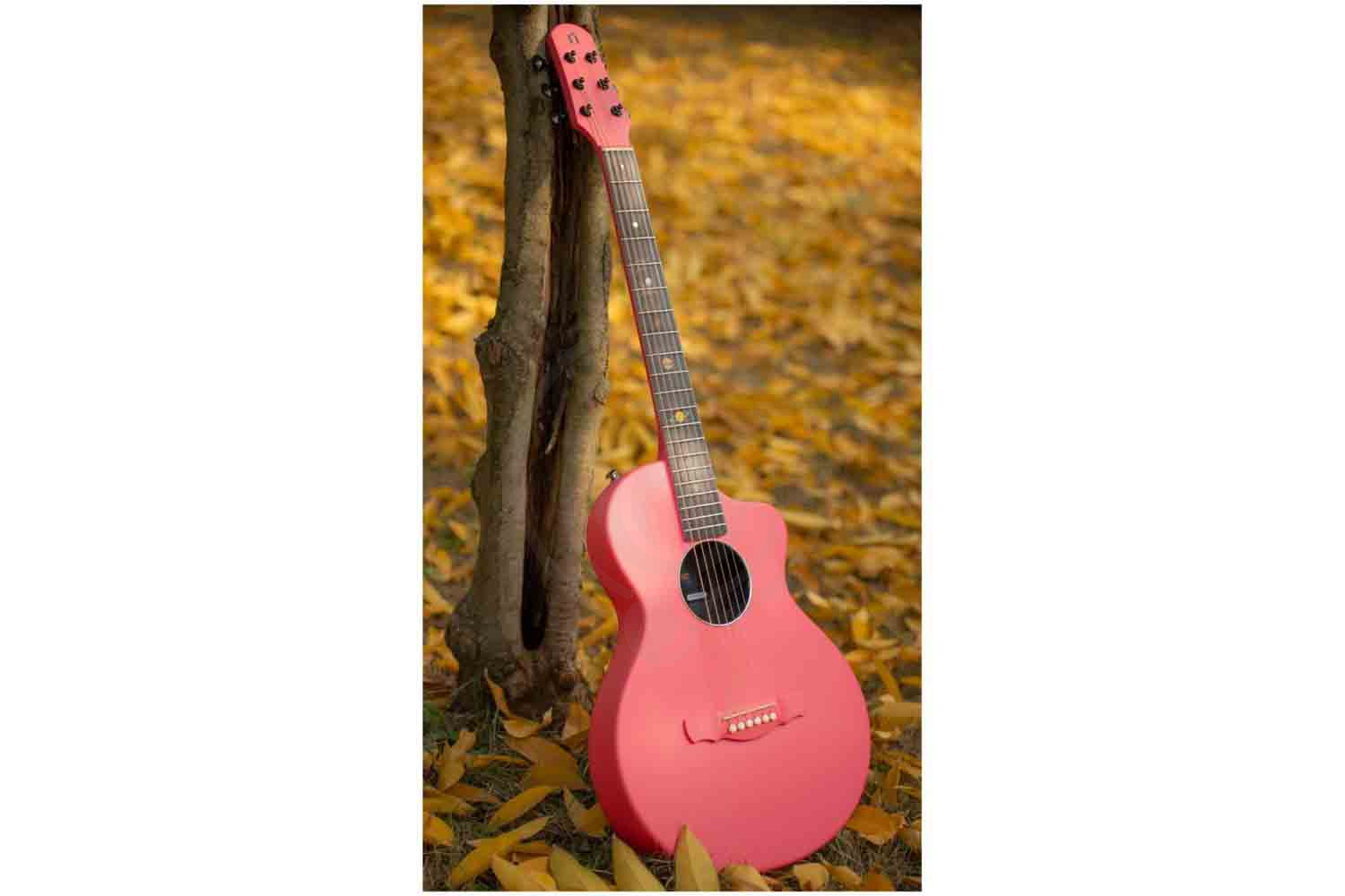 Акустическая гитара  - фото 4