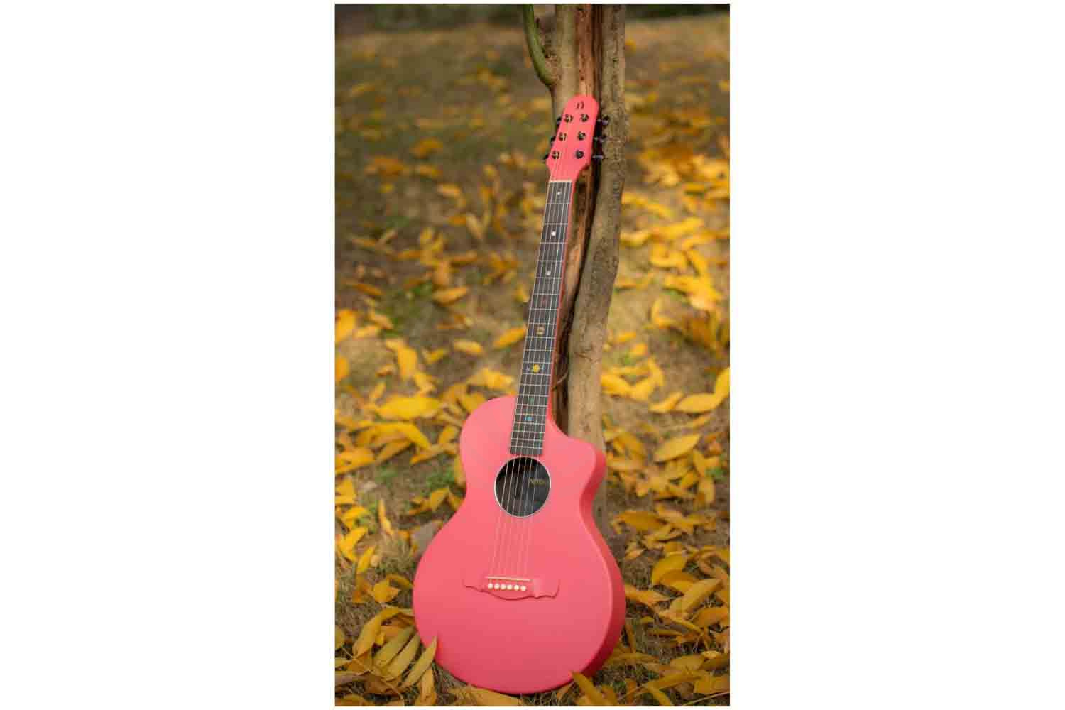 Акустическая гитара  - фото 5