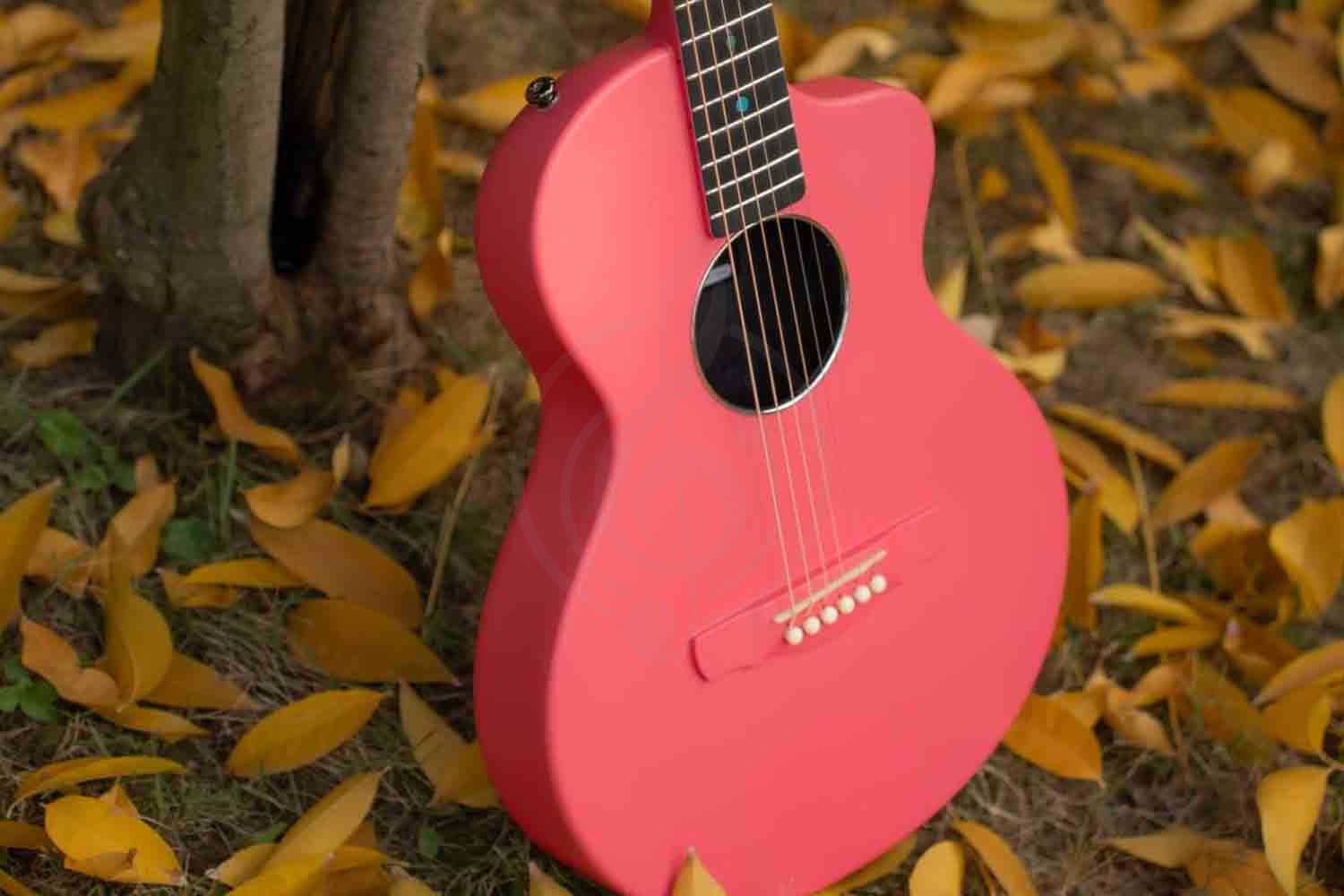 Акустическая гитара  - фото 12