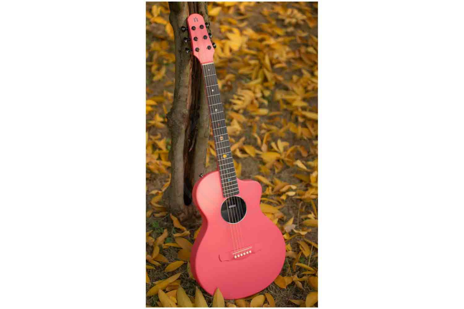 Акустическая гитара  - фото 20