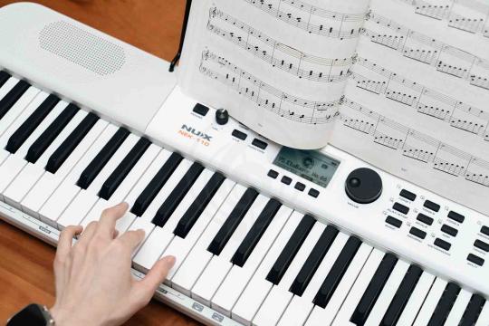 Домашний синтезатор  - фото 10