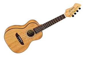 Изображение Ortega RUMG Horizon Series - Укулеле концертный, с чехлом, манго