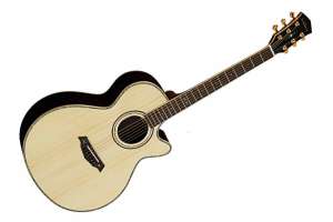 Изображение Parkwood P870ADK-WCASE-NAT - Электроакустическая гитара