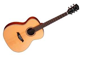 Изображение Акустическая гитара Parkwood S22-GT
