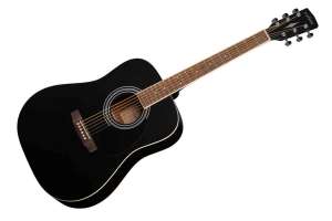 Изображение Parkwood W81-WBAG-BKS - Акустическая гитара