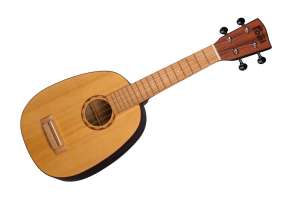 Изображение Poni USVL-FL - Укулеле сопрано винтаж ананас