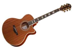 Изображение Акустическая гитара Ramis RA-C02C-NL
