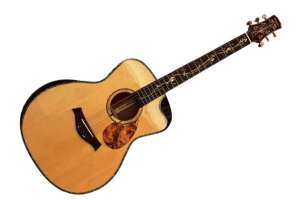 Изображение ShahBoJohn AR-2 - Гитара трансакустическая