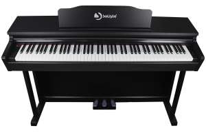 Изображение Цифровое пианино Solista DP200BK