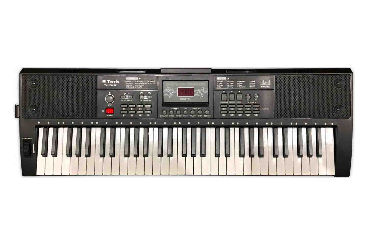 Домашний синтезатор  - фото 1