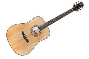 Изображение TIGER T-1 D-NS - Акустическая гитара