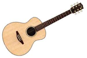 Изображение TOM GS-C3 - Акустическая гитара