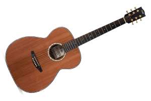 Изображение TOM NA5 - Акустическая гитара