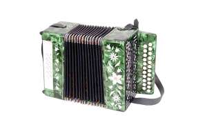 Изображение Тульская Гармонь GN-9 "Сказка", 23х12-I, с инкрустацией