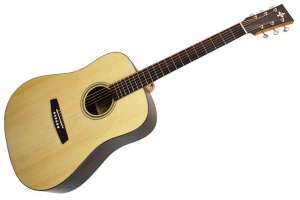 Изображение TYRONE SILVER D Rosewood - Акустическая гитара