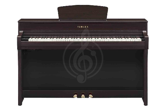 Изображение YAMAHA CLP-735R - Цифровое пианино