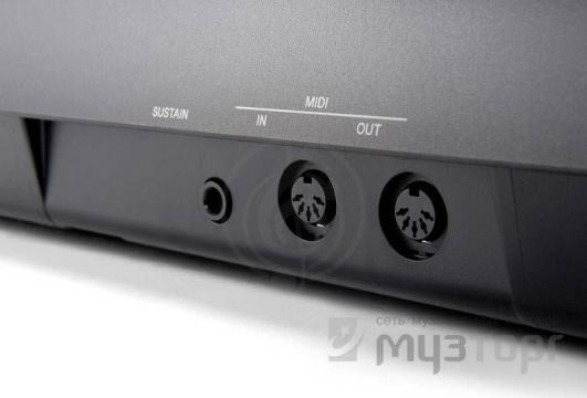 Цифровое пианино  - фото 4