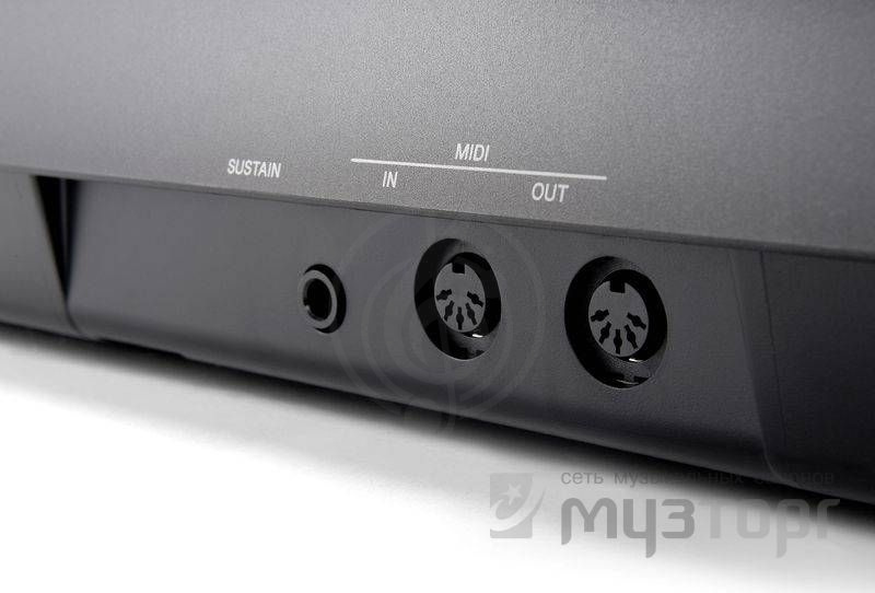 Цифровое пианино  - фото 4