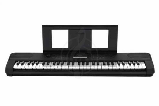 Домашний синтезатор  - фото 3