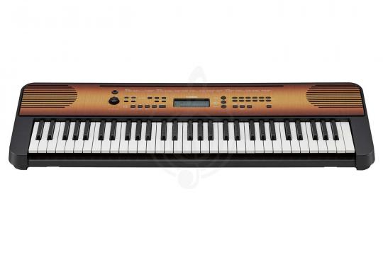 Домашний синтезатор  - фото 2