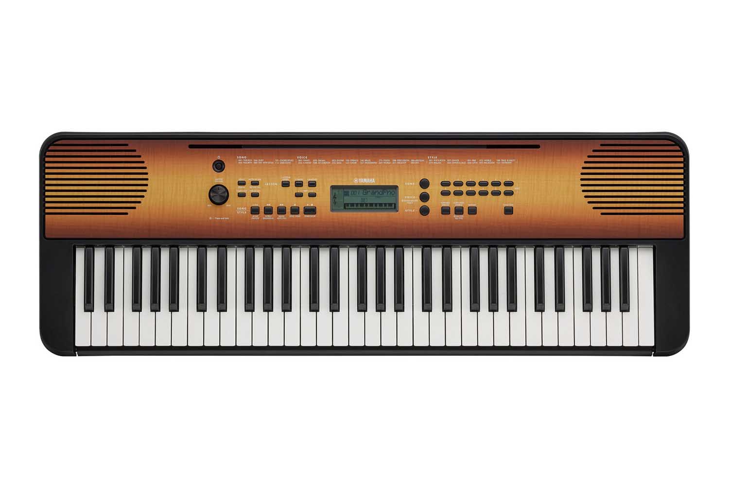 Домашний синтезатор  - фото 1