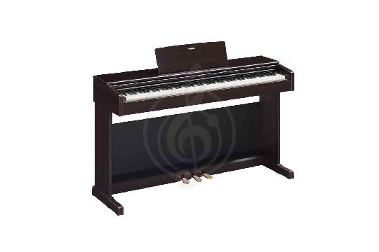 Изображение YAMAHA YDP-145R - Цифровое пианино